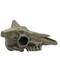 Show in main carousel: Komodo Deer Skull, Medium slide 3 of 3