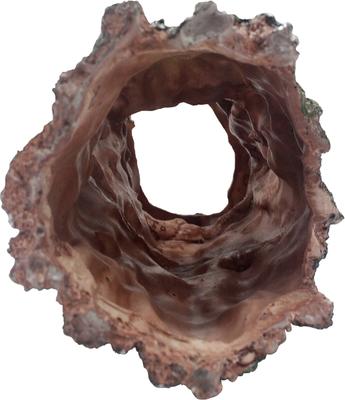 Show full view: Komodo Forest Log, Large slide 2 of 4