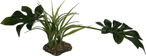 Show full view: Komodo Jungle Canopy Terrarium Plant slide 2 of 5