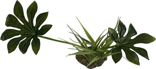 Show full view: Komodo Jungle Canopy Terrarium Plant slide 3 of 5