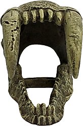 Komodo Large Saber Tooth Skull, Medium slide 2 of 3