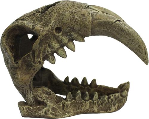 Show full view: Komodo Large Saber Tooth Skull, Medium slide 3 of 4