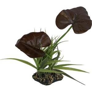 Komodo Rainforest Canopy Terrarium Plant