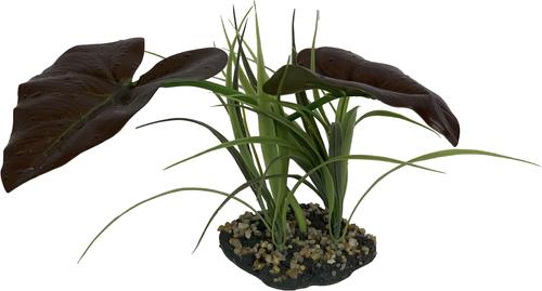 Show full view: Komodo Rainforest Canopy Terrarium Plant slide 4 of 4