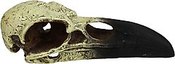 Komodo Raven Skull Aquarium Ornament, 6-in slide 2 of 4