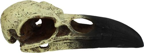 Show full view: Komodo Raven Skull Aquarium Ornament, 6-in slide 2 of 4