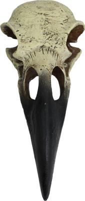 Show full view: Komodo Raven Skull Aquarium Ornament, 6-in slide 3 of 4