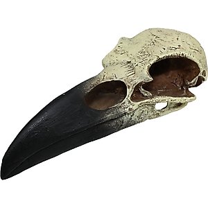 Komodo Raven Skull Aquarium Ornament, 8-in