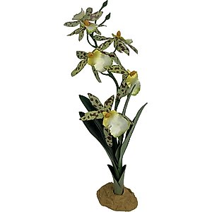 Zoo Med ReptiCare Rock Heater