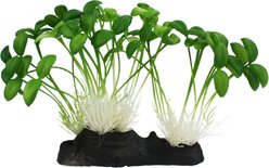 Komodo Sprouts Aquarium Plant, 5-in