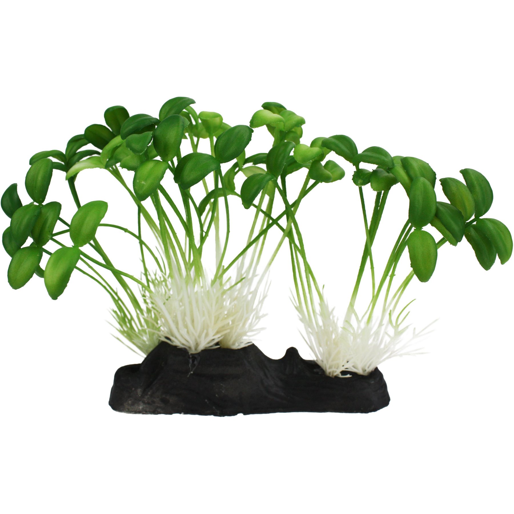 Komodo Sprouts Aquarium Plant, 5-in