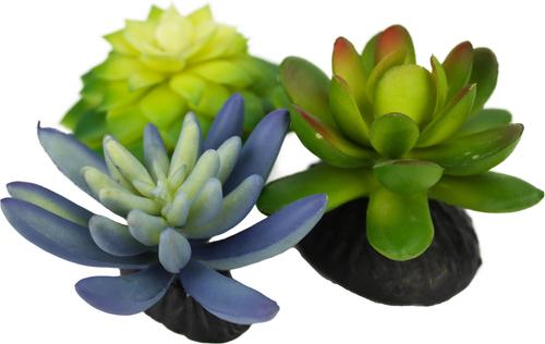 Show full view: Komodo Succulent Aquarium Plant, 3-in, 3 count, Bue & Green slide 3 of 7