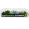 Show in main carousel: Komodo Succulent Aquarium Plant, 3-in, 3 count, Bue & Green slide 4 of 7