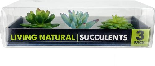 Show full view: Komodo Succulent Aquarium Plant, 3-in, 3 count, Bue & Green slide 4 of 7