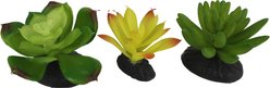 Komodo Succulent Aquarium Plant, 3-in, 3 count, Yellow & Green