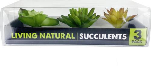 Show full view: Komodo Succulent Aquarium Plant, 3-in, 3 count, Yellow & Green slide 4 of 5