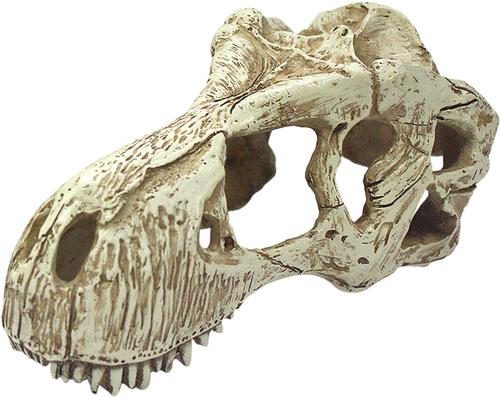Show full view: Komodo T-Rex Skull, Large slide 2 of 5