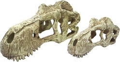 Komodo T-Rex Skull, X-Large