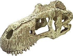 Komodo T-Rex Skull, X-Large slide 2 of 4