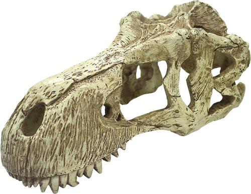 Show full view: Komodo T-Rex Skull, X-Large slide 2 of 5