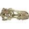 Show in main carousel: Komodo T-Rex Skull, X-Large slide 4 of 5