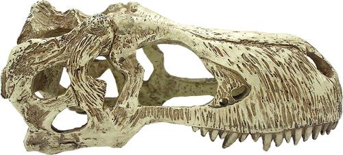 Show full view: Komodo T-Rex Skull, X-Large slide 4 of 5