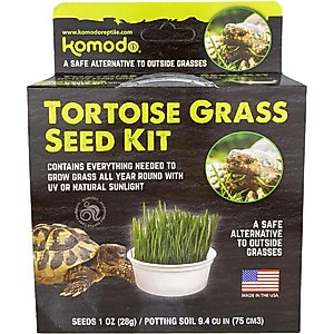 Komodo Tortoise Grass Seed Kit