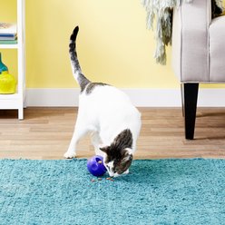 KONG Active Treat Ball Cat Toy slide 2 of 5