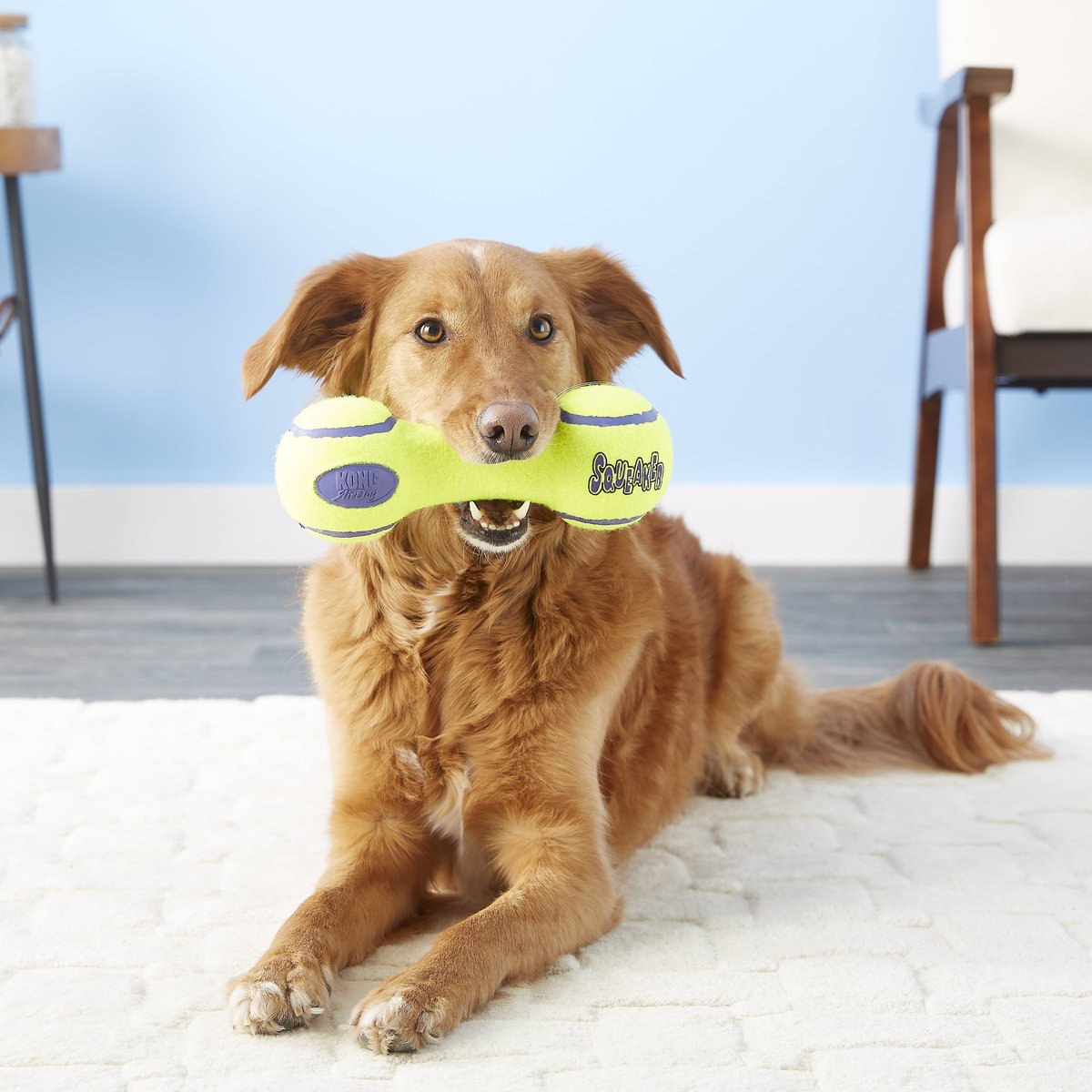 KONG AirDog Spinner Dog Toy