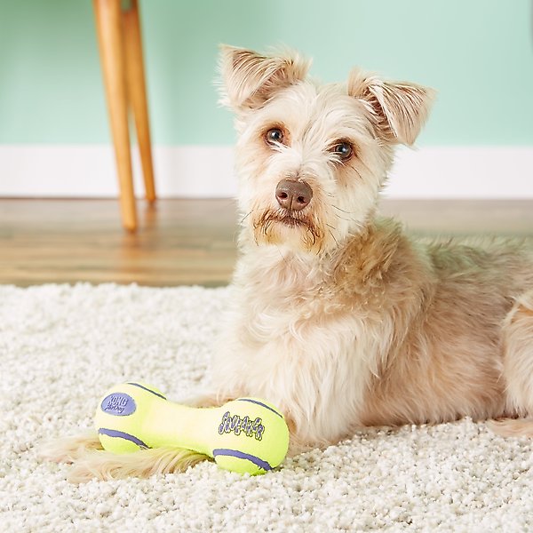 Show full view: KONG AirDog Dumbbell Dog Toy, Medium slide 4 of 6