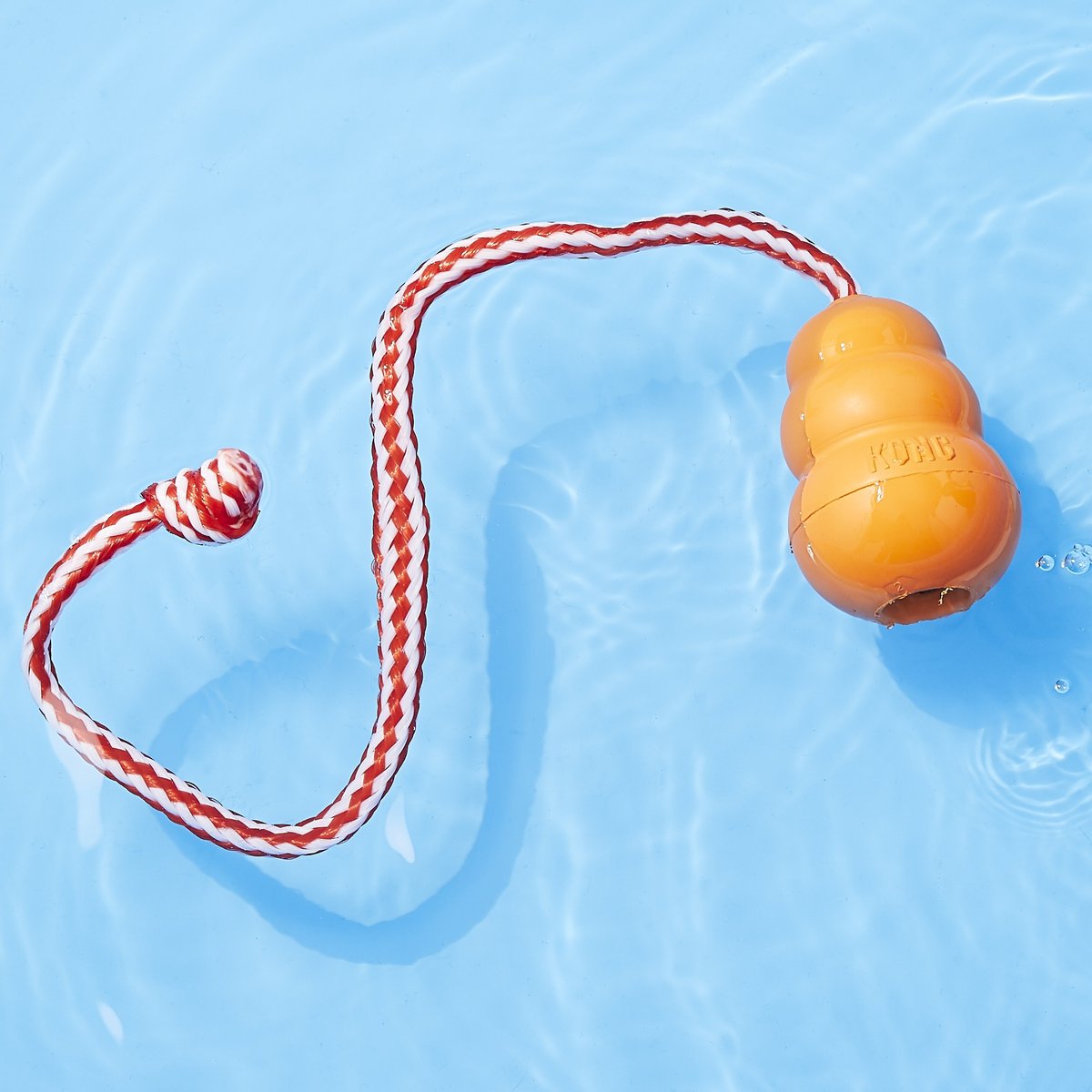 KONG Aqua Dog Toy