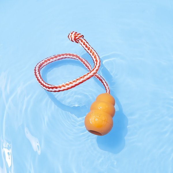 Show full view: KONG Aqua Dog Toy, Medium slide 5 of 8