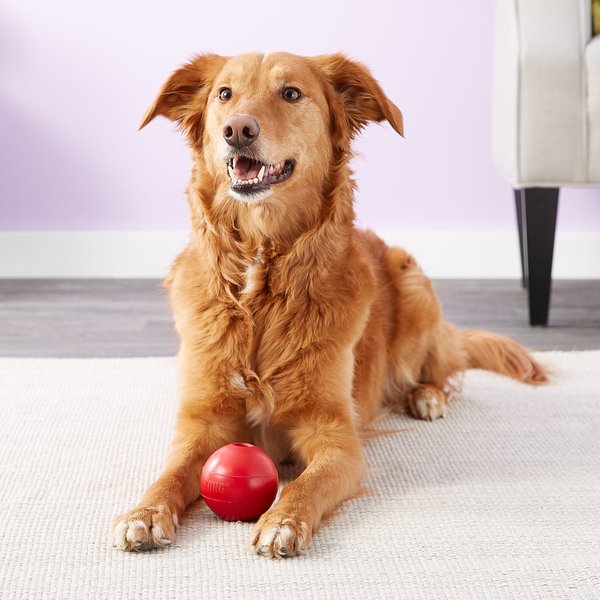 Show full view: KONG Ball Dog Toy, Medium slide 4 of 7