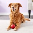 Show in main carousel: KONG Ball Dog Toy, Medium slide 4 of 7