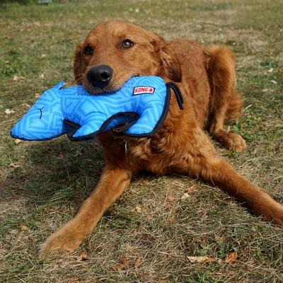 Show full view: KONG Ballistic Rhino Squeaky Dog Plush Toy, Blue, Medium/Large slide 3 of 4