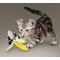 Show in main carousel: KONG Better Buzz Banana Cat Toy slide 3 of 6
