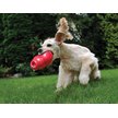 Show in main carousel: KONG Bounzer Dog Toy, Medium slide 2 of 8