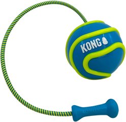 KONG Bunji High-Viz Ball Dog Toy, Assorted, Large