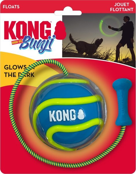 KONG Bunji High-Viz Ball Dog Toy, Assorted