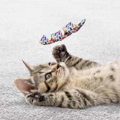Show full view: KONG Cat Active Curlz Cat Toy, Color Varies, 2 count slide 3 of 5