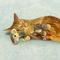 Show in main carousel: KONG Cat Luvs Mouse Plush Cat Toy with Catnip, Tan slide 4 of 5