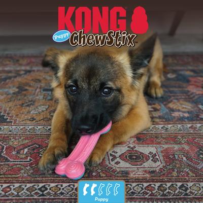 Show full view: KONG ChewStix Puppy Curve Bone, Pink/Blue, Large slide 5 of 6