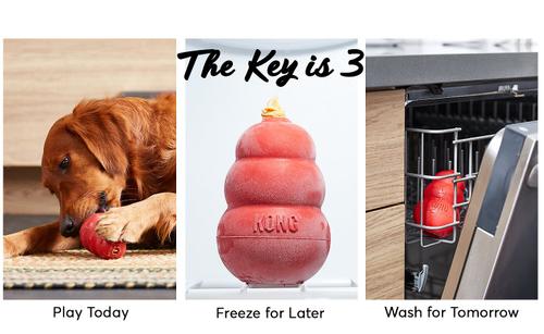 Show full view: KONG Classic Dog Toy & KONG Stuff'N Easy Treat Peanut Butter Recipe slide 3 of 5