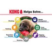 Show in main carousel: KONG Classic Dog Toy, Small slide 4 of 10