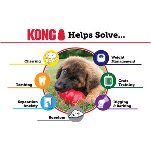 KONG Classic Dog Toy, X-Small