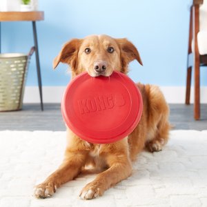 KONG Classic Flyer Dog Toy, Large
