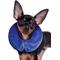 Show in main carousel: KONG Cloud Collar for Dogs & Cats, Small slide 1 of 10