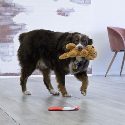 Show full view: KONG Comfort Pups Peanut Tough Squeaky Dog Plush Toy, Tan, Small slide 2 of 6