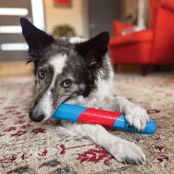 Show full view: KONG CoreStrength Rattlez Stick Dog Chew Toy, Red/Blue, Large slide 4 of 5