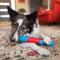 Show in main carousel: KONG CoreStrength Rattlez Stick Dog Chew Toy, Red/Blue, Large slide 4 of 5